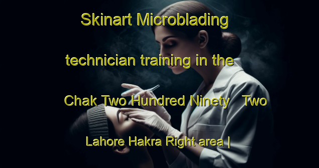 Skinart Microblading technician training in the Chak Two Hundred Ninety   Two Lahore Hakra Right area | MicrobladingTraining | MicrobladingClasses | SkinartTraining-Pakistan